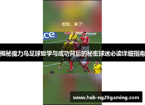 揭秘魔力鸟足球哲学与成功背后的秘密球迷必读详细指南