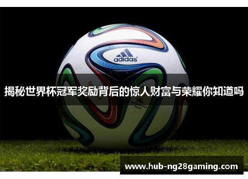 揭秘世界杯冠军奖励背后的惊人财富与荣耀你知道吗