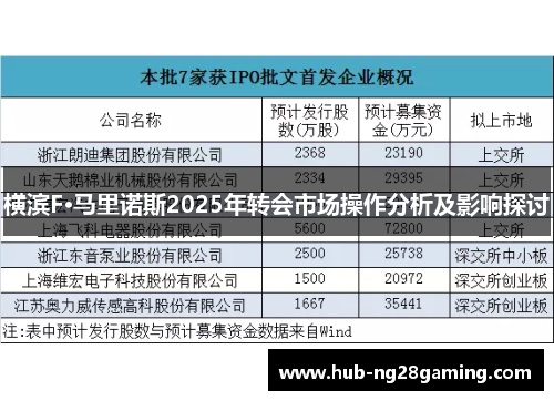 横滨F·马里诺斯2025年转会市场操作分析及影响探讨 横滨F·马里诺斯2025年转会市场操作分析及影响探讨