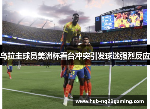 乌拉圭球员美洲杯看台冲突引发球迷强烈反应 乌拉圭球员美洲杯看台冲突引发球迷强烈反应
